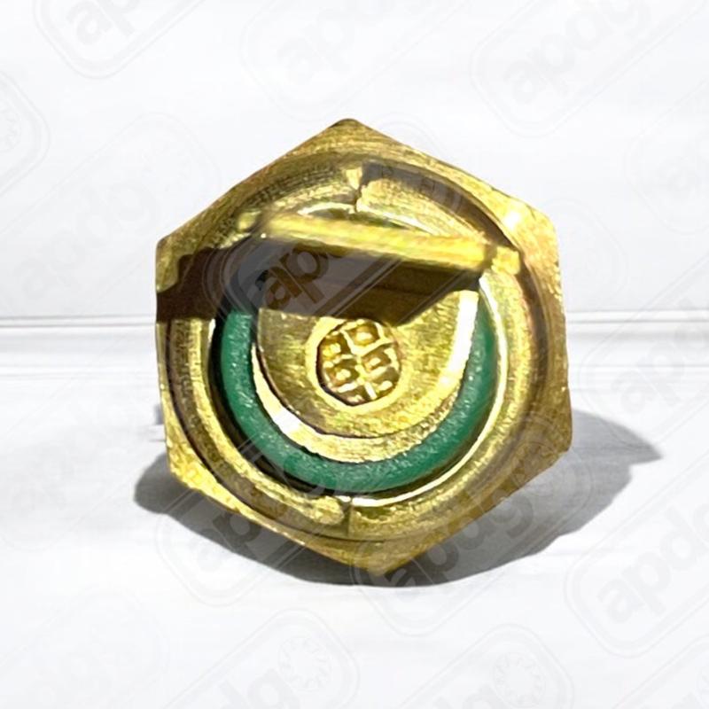 BULBO TEMPERATURA TS125